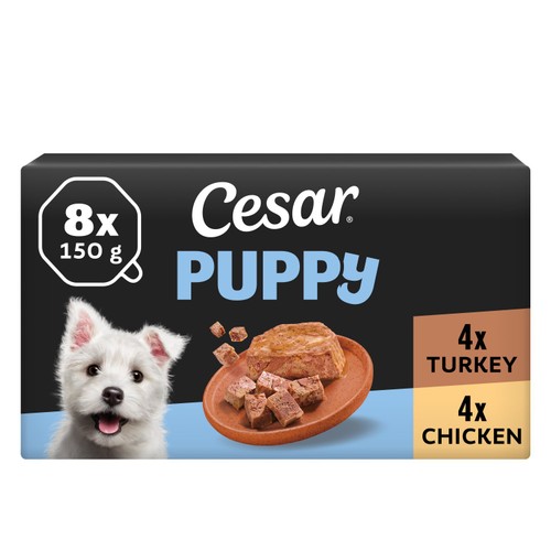 Cesar Classic Terrine Puppy with Chicken and Turkey in Loaf 8pk (8 x 18.75g) pack shot