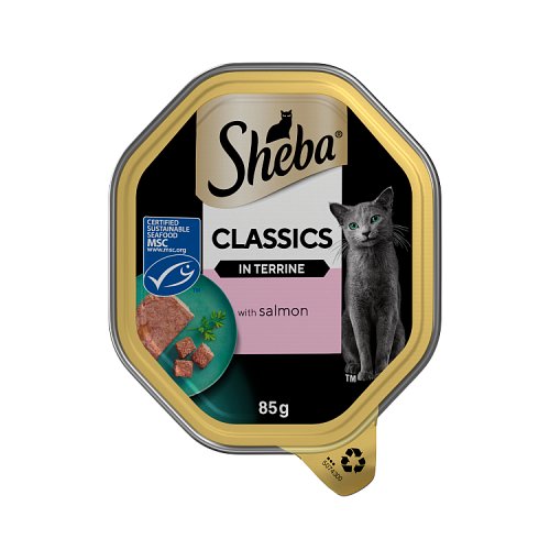 Sheba Classic Cat Tray & Salmon in Terrine 85g pack shot