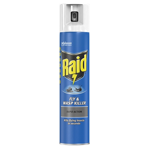 Raid Fly & Wasp Killer 300ml pack shot