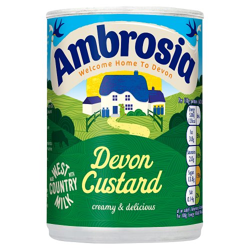 Ambrosia Devon Custard Can 400g pack shot