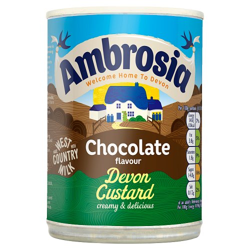 Ambrosia Can Chocolate Custard 400g pack shot