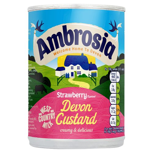 Ambrosia Can Strawberry Custard Can 400g pack shot