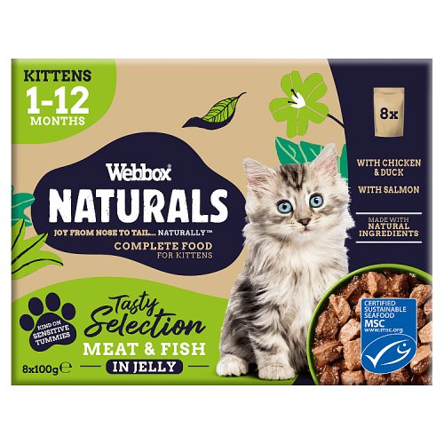 Webbox Cat Natural Pouches Kittens Mixed In Jelly Selection 8pk (8 x 100g) pack shot
