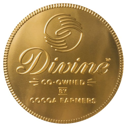 Divine Milk Chocolate Giant Coin 58g pack shot