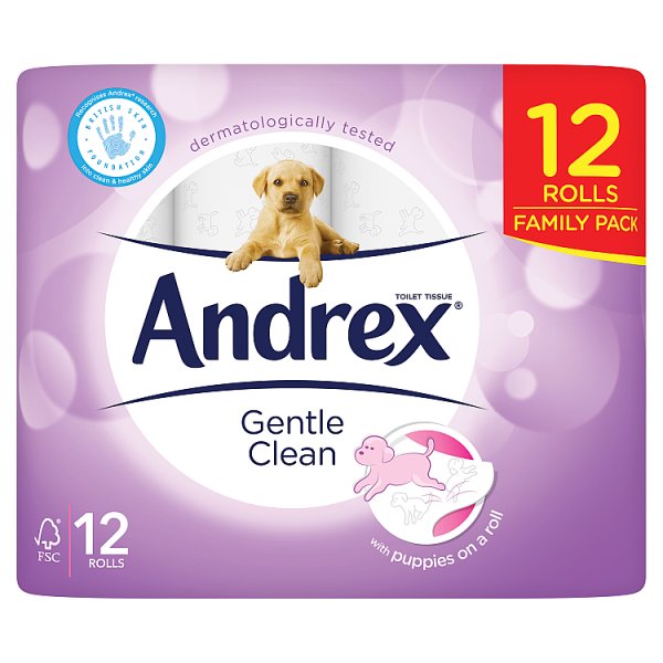 Andrex Family Soft Roll 12s (12 x 170 sheets) pack shot