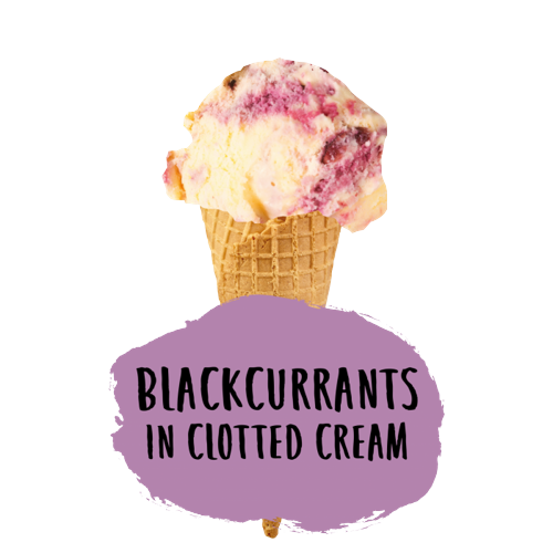 Marshfield Blackcurrants In Clotted Cream 5Ltr pack shot