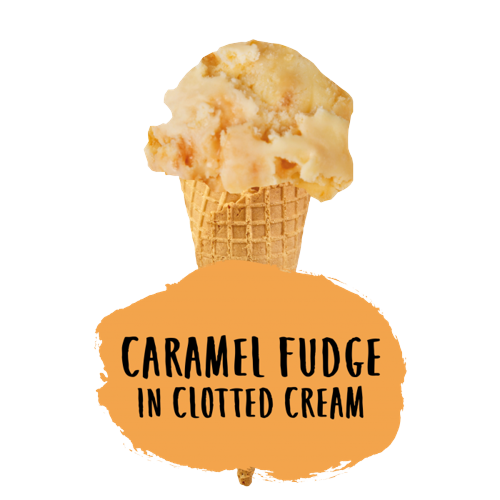 Marshfield Caramel Fudge in Clotted Cream 5Ltr pack shot