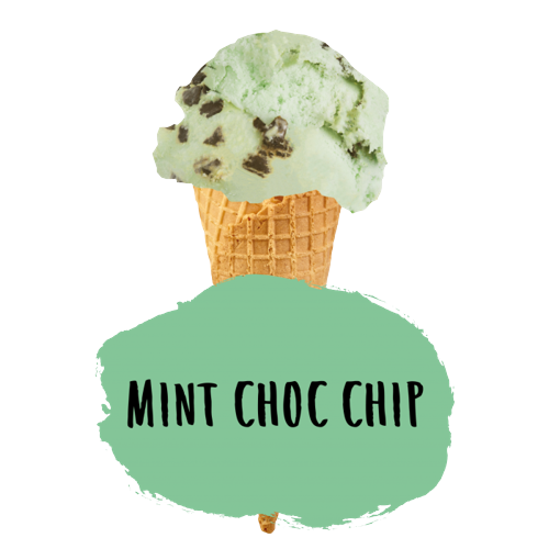Marshfield Mint Choc Chip 5Ltr pack shot