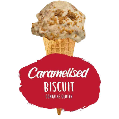 Marshfield Caramelised Biscuit Ice Cream 5Ltr pack shot
