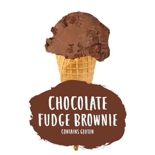 Marshfield Chocolate Fudge Brownie 5Ltr pack shot