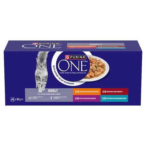 Purina ONE Adult Cat Mini Fillets in Gravy (40 x 85g) pack shot