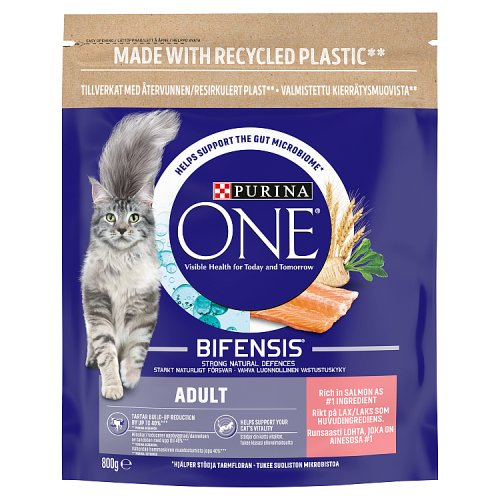Purina ONE Adult Salmon & Wholegrain 800g pack shot