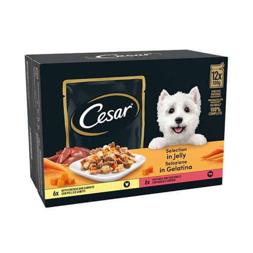 Cesar Deliciously Fresh Dog Pouch Favourites in Jelly 100g pack shot